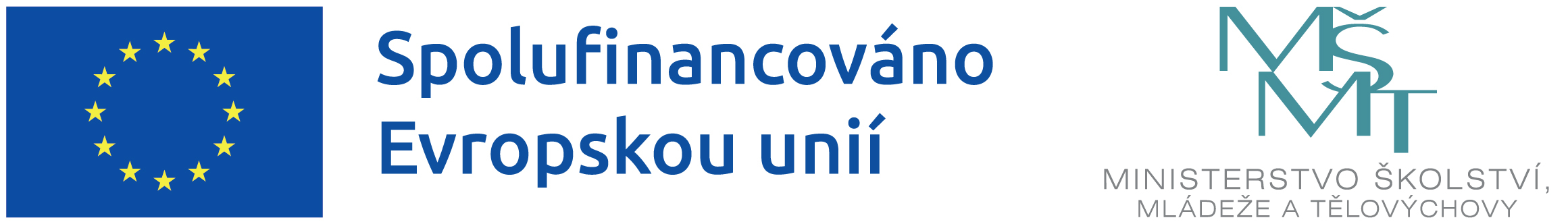 Vyrovnávací kurz z matematiky pro nové studenty NF VŠE