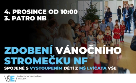 Zdobení vánočního stromečku NF